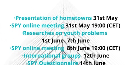 Powiększ grafikę: harmonogram spotkań online dla uczestników projektu Problems of Youth
