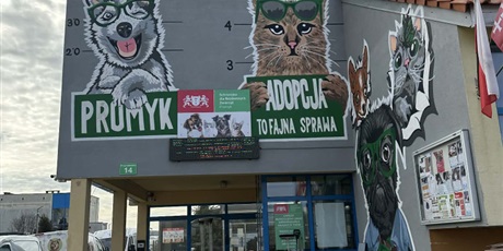 Samorząd Uczniowski w schronisku Promyk