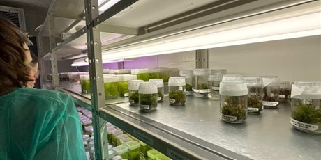 Powiększ grafikę: Uczniowie klas 4c i 4d podczas warsztatów biotechnologicznych